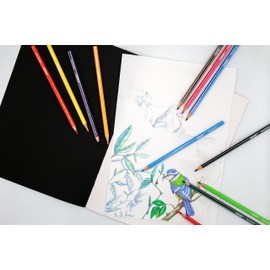 Eziglide Colouring Pencils, Pack of 144 Bulk Pencils Set of 12 Assorted High Pigment Colours, Ideal Colouring Pencils for Adults & Children for use in a Colouring Book, Sketching, Coloring & Drawing