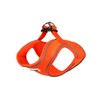 Doodlebone Snappy Harness, Tangerine, 4