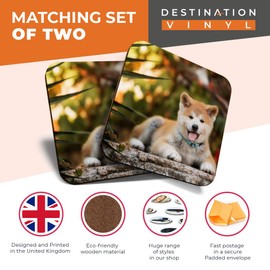 Great Coasters (Set of 2) Square/Glossy Quality Coasters/Tabletop Protection for Any Table Type - Large American Akita Puppy Dog #15711