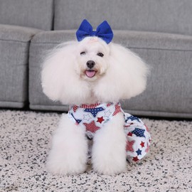 CuteBone Two Piece Dog Sports Dress Athleisure Puppy Skirt Lightweight Small Dogs Girl Clothes Cat Apparel SPS15XS