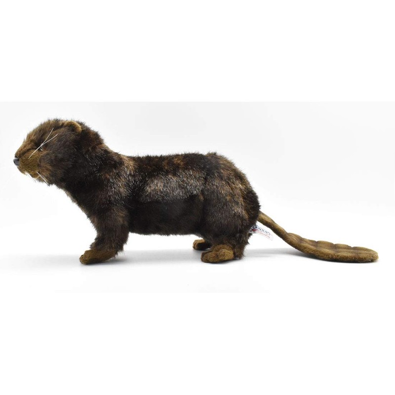 Beaver No.4274 (japan import)