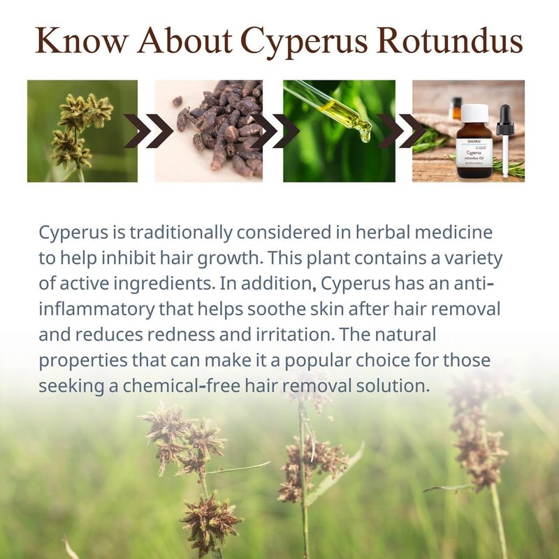 Cyperus Rotundus Oil for Hair Removal 2 PACKS – 100%