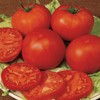 Burpee 'Early Pick VF' Hybrid | Red Beefsteak Slicing Tomato