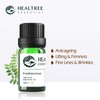 Frankincense Essential Oil - 100% Pure Frankincense Oil for Skin