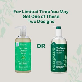 Renpure Plant Based Tea Tree and Rosemary Refresh and Rebalance Shampoo - Soothes Dry Scalp - Delivers Moisture and Shine - Rids Hair of Grime - Dye Free - Recyclable, Pump Bottle Design - 24 fl oz