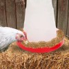 Little Giant 3Lbs Plastic Hanging Poultry Feeder with Cover