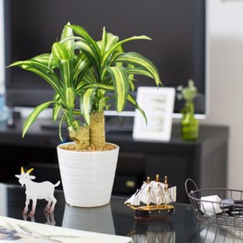 YARNOW 10pcs Educational Plastic Realistic Ornaments Animals Play Simulated Decors Goats Animal Small Lambs Early Models Toy Figures Model Mini Tiny Farm Children Sheep Simulation PVC (Random Color)