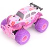 Remote Control Car for Girls 2.4GHz Cute Pink Purple Remote