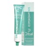 Tinte Para Cabello Dibal Sin Amoniaco 100gr Tonos A Elegir