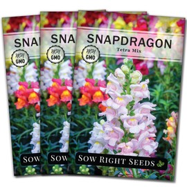 Sow Right Seeds Sow Right Seeds - Tetra Mix Snapdragon Flower Seeds for Planting - Non-GMO Heirloom Packet with Instructions to Grow - Fragrant Annual Flower Spikes in a Mix of Colors - Half Tall for Front Beds (3)