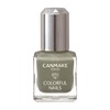 Canmake Colorful Nails 103 Lady Khaki 0.3 fl oz (8