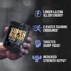 Lion ALPHA LION Super Human Core Pre Workout Powder w/