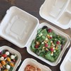 World Centric Compostable Clamshell Containers 9x9x3 - Grease and Moisture