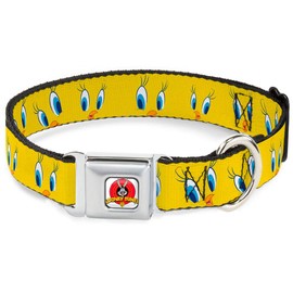 Buckle-Down Seatbelt Buckle Dog Collar - Tweety Bird Expressions2 - 1" Wide - Fits 9-15" Neck - Small