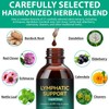 Lymphatic Drainage Drops, 21-in-1 Liposomal Lymphatic Drainage Support Detox Supplement