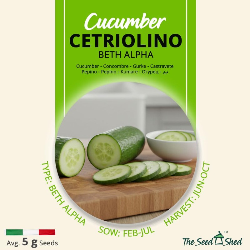 Cucumber Seeds – Cetriolino Beth Alpha – Early, Smooth Skin