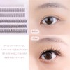 SIXPLUS False Eyelashes, Mixed Type, Mixed Eyelashes, Reusable, Long Lasting,