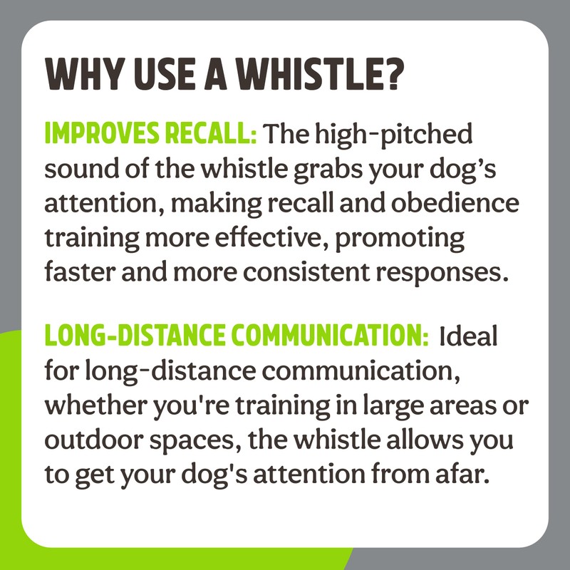 Rosewood Deluxe Dog Training Whistle – Pitched for Dogs Ears,