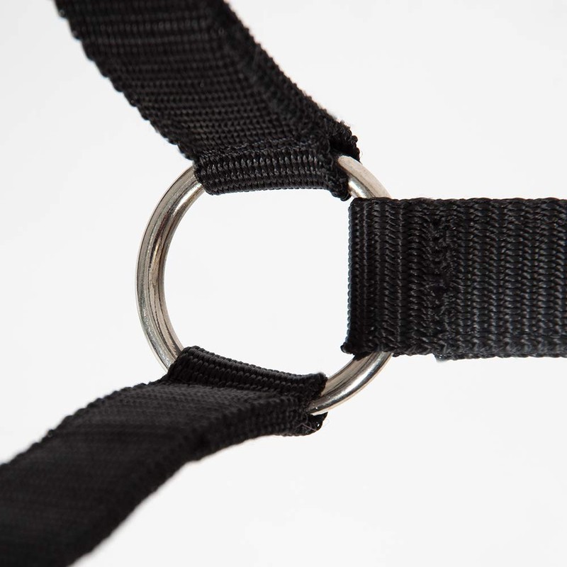 PFIFF Jocose 102921 Safety Halter Paddock Headcollar Black Shetty