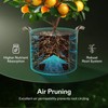 VIVOSUN 5-Pack 30 Gallons Grow Bags Heavy Duty Thickened Nonwoven