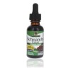 Nature's Answer Schisandra Jarabe Vitaminas 30 mL Sin Gluten