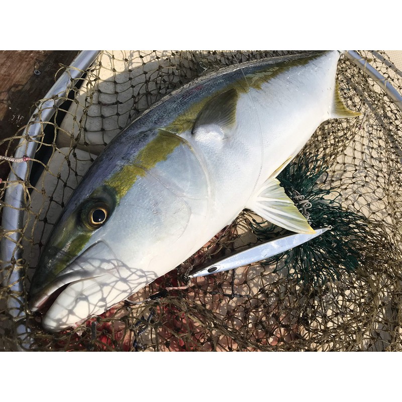 NatureBoys SR1260-13K Iron Jig Swim Rider 9.2 oz (260 g)