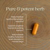 New Chapter Turmeric Force Vegetarian Capsule - 120 ct