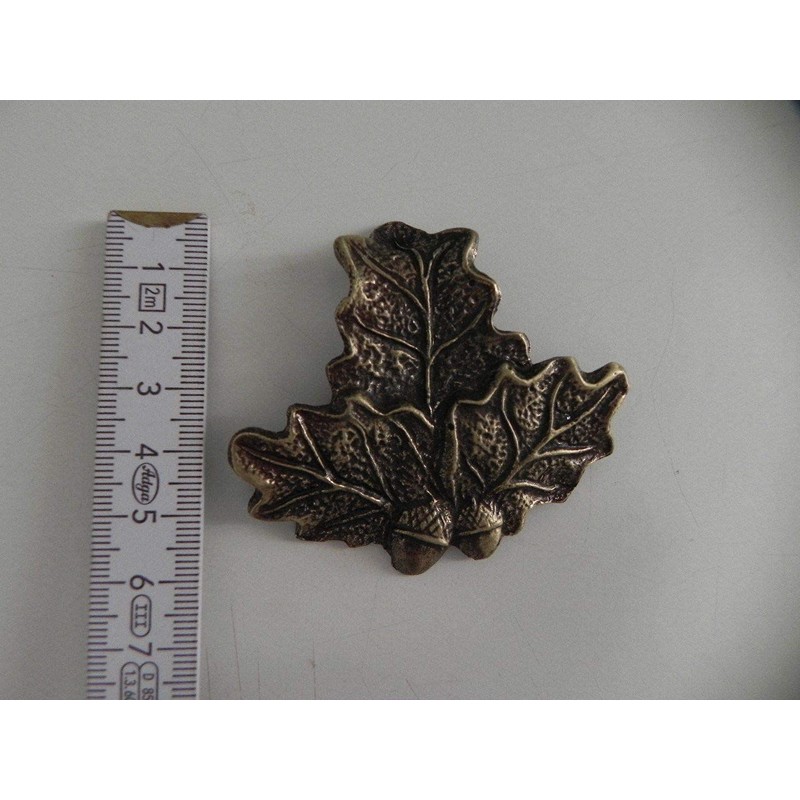 GTK - Geweihe & Trophäen KRUMHOLZ 1 x Oak Leaf