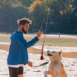 Flirt Pole para perros, juguete interactivo para perros con una colorida cuerda para masticar de algodón, para ejercicio al aire libre y entrenamiento de obediencia, equipo de ejercicio para perros pequeños, medianos y grandes.