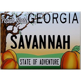 Savannah Georgia License Plate Fridge Collector's Souvenir Magnet NewDesign 2.5" X 3.5"