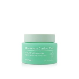 Tony Moly 토니모리 어성초 시카 쿨링 수분 크림 100ml Tony Moly Centella Cica Cooling Moisture Cream 100ml
