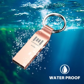 MOSDART - Disco flash USB 2.0 de 64 GB, llavero de metal, con cierre, impermeable, 64 GB, a prueba de polvo, USB2.0, unidad de salto, 64 G, a prueba de golpes, para almacenamiento y respaldo, color