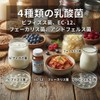 Concentrated Chabara Fruit Skin Powder Juice Plus Lactic Acid Bacteria