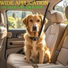 Dog Truck Bed Leash Tether Tie Down System for Two