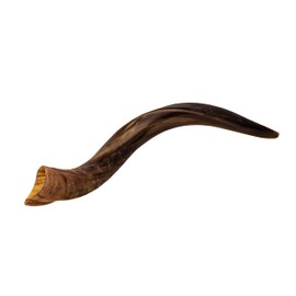 Shofars Of Shalom Kudu Shofar Horn, Original Beautiful Half Polished Half Natural Finish, Easy Blowing with deep, rich sound | Includes beautifully embroidered Shofar Bag | 23"-27"