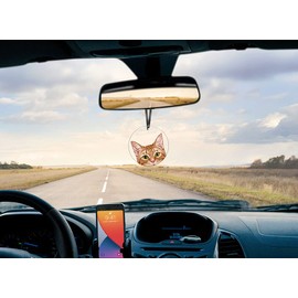 WIRESTER Hanging Ornaments for Christmas Tree Holidays, Party, Car, Home, Office Decoration, Large 3 inch Acrylic Ready to Hang Ornament - Orange Tabby Kitten Cat