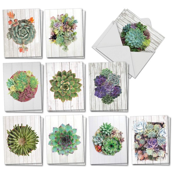 The Best Card Company - 20 Assorted Blank Plant Cards