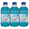 Hawaiian Punch Polar Blast Juice, 10oz Bottles, 24 Pack, Caffeine-Free
