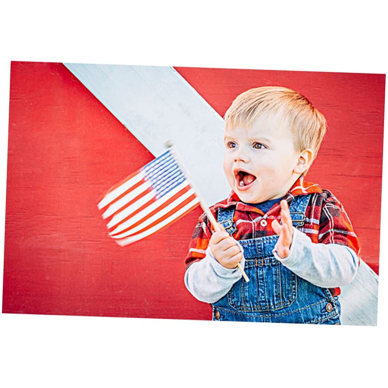 Abaodam Hand Waving American Flags Mini Us Flags on Sticks