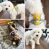 pangdi Dog Harness No-Pull with Handle, Reflective Padded Adjustable Vest