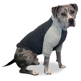 Tooth & Honey Large Dog Pullover Shirt – Breathable Cotton & Spandex Dog Shirt with Full Underbelly Coverage – Dark & Light Grey Large Dog Shirt for Allergy & Summer Protection (XX-Large)
