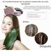 Champú En Barra Para Oscurecer El Cabello, Champú En Barra