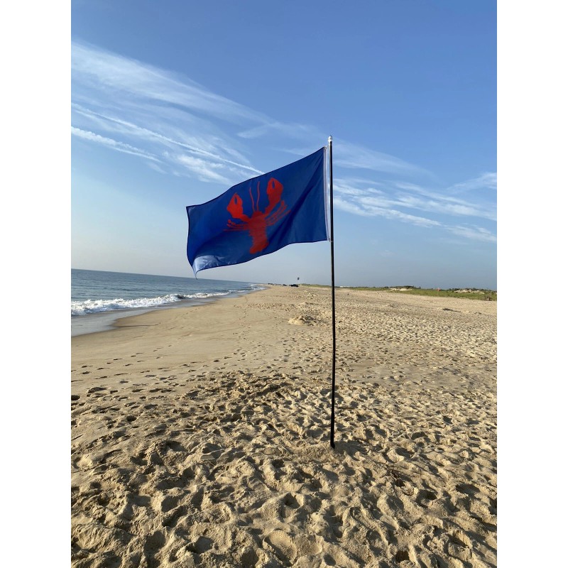 Hoisterly Flags 3 X 5 Nautical Lobster new Fade Resistant