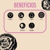 QUENUT | Adaptógeno Orgánico de Hongo Chaga en Cápsula Vegana