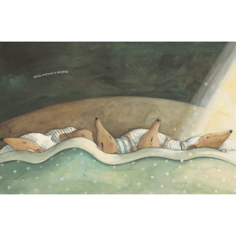 While Everyone Is Sleeping