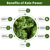 Hudetex Kale Powder Organic - Green Juice Powder for Kale