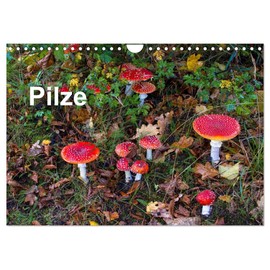Mushrooms (Wall Calendar 2025 DIN A4 Landscape), CALVENDO Monthly Calendar