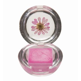 Blossom Blossom Lip Gloss Duo Rugs, Rugs, Hawaiian Hawaii Hawaii Souvenir Souvenir magenta