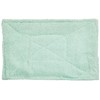Condor (Rag) Color Rag Green Pack of 10