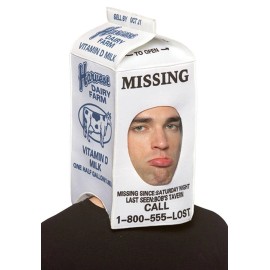 Rasta Imposta Adult Milk Carton Head Hat One Size Rasta 7068